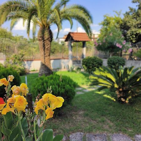I Giardini Di Plinio - Elegante E Luminoso. Boscoreale Exterior foto