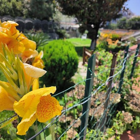 I Giardini Di Plinio - Elegante E Luminoso. Boscoreale Exterior foto