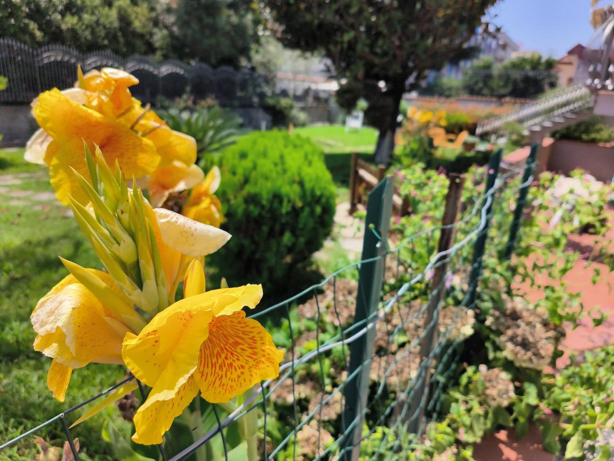 I Giardini Di Plinio - Elegante E Luminoso. Boscoreale Exterior foto
