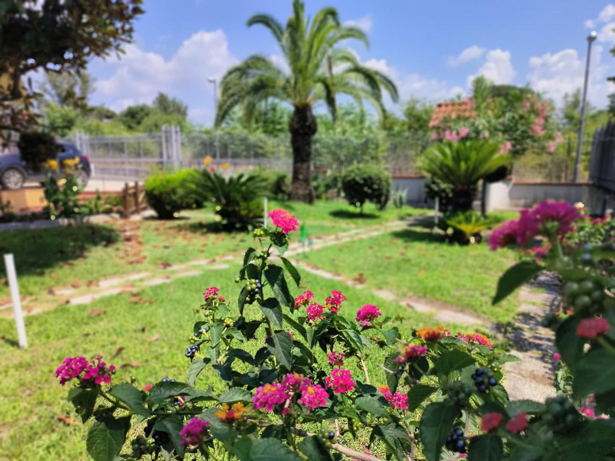 I Giardini Di Plinio - Elegante E Luminoso. Boscoreale Exterior foto